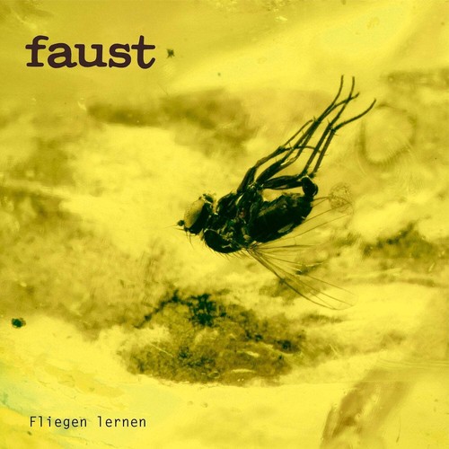 Faust fliegen lernen curated - fliegen,